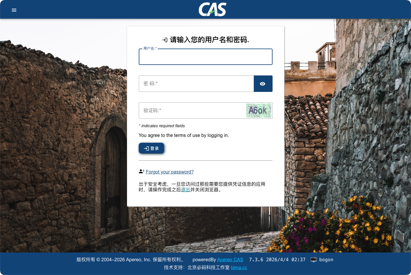 CAS Overlay 7.3.x 登录界面