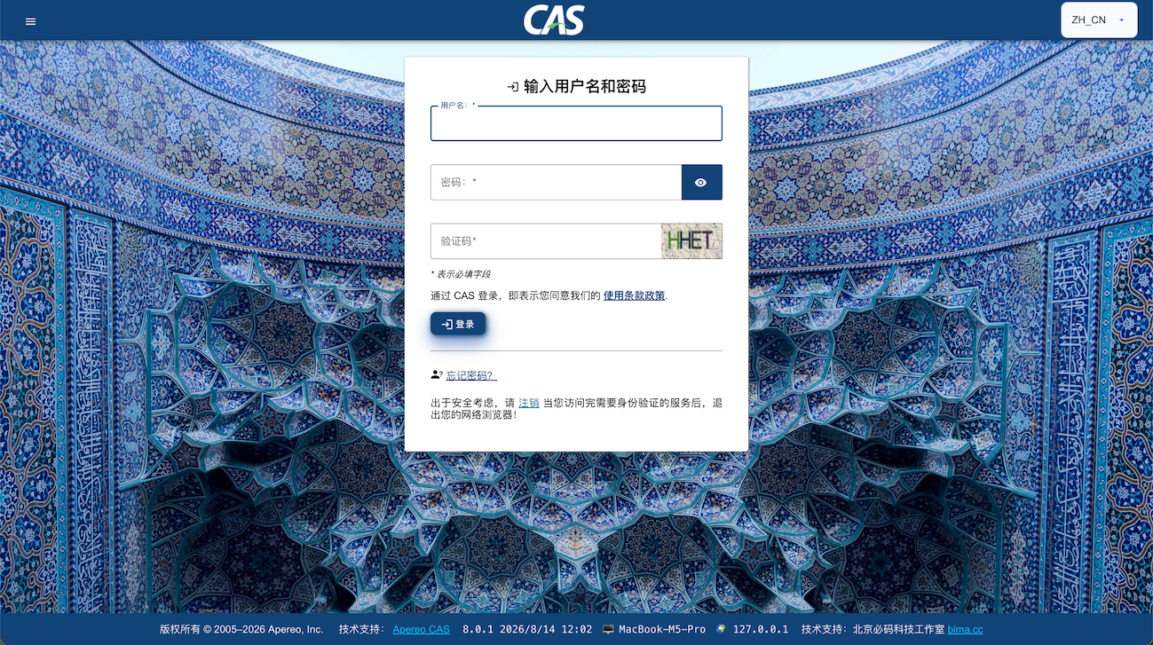 CAS Overlay 8.0.x 登录界面
